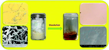 Graphical abstract: Lutidinium-based ionic liquids for efficient dissolution of cellulose