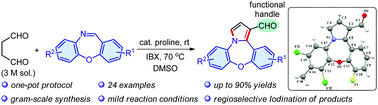 Graphical abstract: A simple route to tetracyclic oxazepine-fused pyrroles via metal-free [3+2] annulation between dibenzo[b,f][1,4]oxazepines and aqueous succinaldehyde