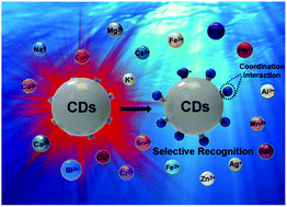 Graphical abstract: Fingerprint identification of copper ions with absorption and emission dual-mode responses by N,S co-doped red carbon dots