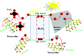 Graphical abstract: Synthesis of magnetic biomass carbon-based Bi2O3 photocatalyst and mechanism insight by a facile microwave and deposition method