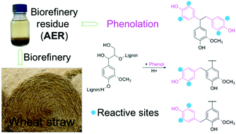 Graphical abstract: Reactivity improvement by phenolation of wheat straw lignin isolated from a biorefinery process