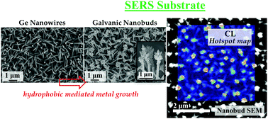Graphical abstract: Hydrophobic mediated growth of galvanic-nanobuds from germanium nanowires for a highly tunable SERS substrate