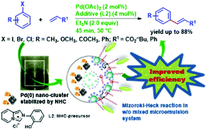 Graphical abstract: NHC stabilized Pd nanoclusters in the Mizoroki–Heck reaction within microemulsion: exploring the role of imidazolium salt in rate enhancement