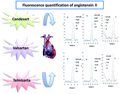 Graphical abstract: Exploitation of localized surface plasmon resonance of silver/gold nanoparticles for the fluorescence quantification of angiotensin II receptor antagonists in their tablets and bio-samples