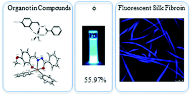 Graphical abstract: Fluorescent organotin compounds as dyes in silk fibroin (Bombyx mori): ultrasound-assisted synthesis, chemo-optical characterization, cytotoxicity, and confocal fluorescence microscopy