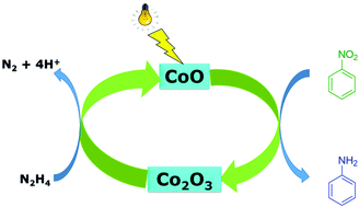 Graphical abstract: Photocatalytic hydrogenation of nitroarenes: supporting effect of CoOx on TiO2 nanoparticles