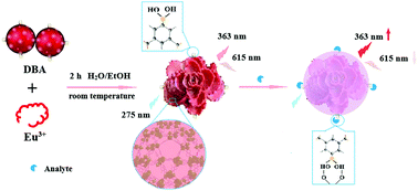 Graphical abstract: One-step fabrication of a boric acid-functionalized lanthanide metal–organic framework as a ratiometric fluorescence sensor for the selective recognition of dopamine