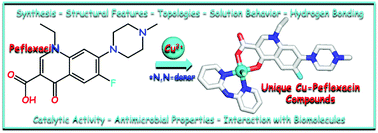 Graphical abstract: Extending the family of quinolone antibacterials to new copper derivatives: self-assembly, structural and topological features, catalytic and biological activity