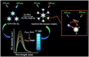 Graphical abstract: A novel fluorescence immunosensor based on Förster resonance energy transfer between nitrogen and sulfur co-doped carbon dot functionalized silica nanospheres and Au@Ag NPs