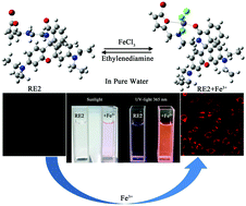 Graphical abstract: Development of rhodamine-based fluorescent probes for sensitive detection of Fe3+ in water: spectroscopic and computational investigations