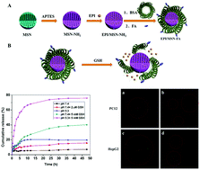 Graphical abstract: Folate-targeting and bovine serum albumin-gated mesoporous silica nanoparticles as a redox-responsive carrier for epirubicin release