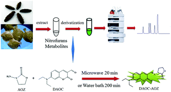 Graphical abstract: Determination of nitrofuran metabolites in marine products by high performance liquid chromatography–fluorescence detection with microwave-assisted derivatization