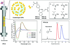 Graphical abstract: Synthesis of helical poly(phenylacetylene) derivatives bearing diastereomeric pendants for enantioseparation by HPLC