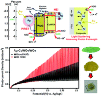 Graphical abstract: Ag-Functionalized CuWO4/WO3 nanocomposites for solar water splitting