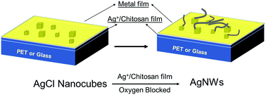 Graphical abstract: Solid-state growth of Ag nanowires and analysis of the self-growing process on a bio-polymer chitosan film