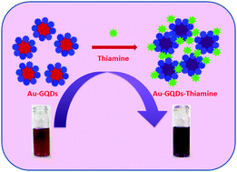 Graphical abstract: Highly selective naked eye detection of vitamin B1 in the presence of other vitamins using graphene quantum dots capped gold nanoparticles