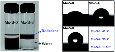 Graphical abstract: Facile synthesis of hydrophobic MoS2 and its activity and stability in the hydrodeoxygenation reaction
