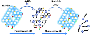 Graphical abstract: Facile preparation of N,S-graphene oxide nanosheets as a fluorescence “off–on” sensing platform for sensitive detection of biothiols