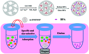 Graphical abstract: A versatile strategy to fabricate magnetic dummy molecularly imprinted mesoporous silica particles for specific magnetic separation of bisphenol A