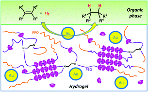 Graphical abstract: Hydrogenation of hydrophobic substrates catalyzed by gold nanoparticles embedded in Tetronic/cyclodextrin-based hydrogels