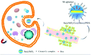 Graphical abstract: Photo-responsive magnetic mesoporous silica nanocomposites for magnetic targeted cancer therapy