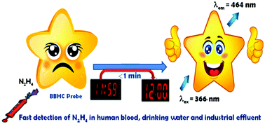 Graphical abstract: A smart sensor for rapid detection of lethal hydrazine in human blood and drinking water