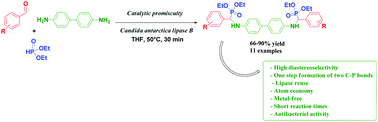 Graphical abstract: Diastereoselective synthesis of bis(α-aminophosphonates) by lipase catalytic promiscuity