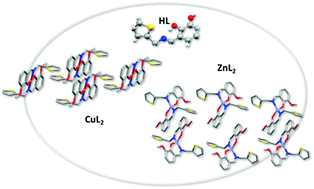Graphical abstract: Cu(ii) and Zn(ii) complexes with a poly-functional ligand derived from o-vanillin and thiophene. Crystal structure, physicochemical properties, theoretical studies and cytotoxicity assays against human breast cancer cells