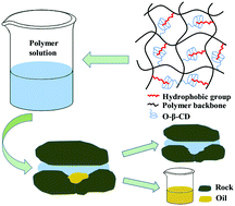 Graphical abstract: Modified acrylamide copolymers based on β-cyclodextrin and twin-tail structures for enhanced oil recovery through host–guest interactions
