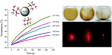 Graphical abstract: The analysis of 2,3-dicarboxypropane-1,1-diphosphonic acid-coated magnetite nanoparticles under an external magnetic field and their radiolabeling for possible theranostic applications