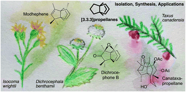 Graphical abstract: Occurrence, synthesis and applications of natural and designed [3.3.3]propellanes
