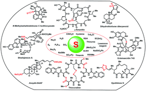 Graphical abstract: Construction of sulfur-containing moieties in the total synthesis of natural products