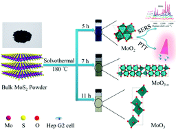 Graphical abstract: Phase-controlled synthesis of molybdenum oxide nanoparticles for surface enhanced Raman scattering and photothermal therapy