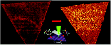 Graphical abstract: Near-field exciton imaging of chemically treated MoS2 monolayers
