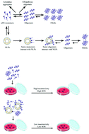 Graphical abstract: The potential of zwitterionic nanoliposomes against neurotoxic alpha-synuclein aggregates in Parkinson's Disease