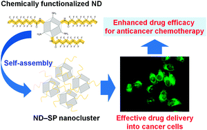 Graphical abstract: Self-assembled nanodiamond supraparticles for anticancer chemotherapy
