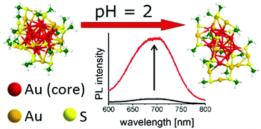 Graphical abstract: pH-Induced transformation of ligated Au25 to brighter Au23 nanoclusters