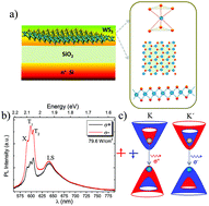 Graphical abstract: Revealing the nature of low-temperature photoluminescence peaks by laser treatment in van der Waals epitaxially grown WS2 monolayers