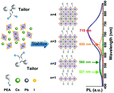 Graphical abstract: Tailored dimensionality to regulate the phase stability of inorganic cesium lead iodide perovskites
