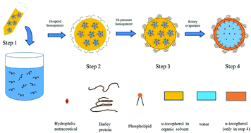 Graphical abstract: Novel protein–lipid composite nanoparticles with an inner aqueous compartment as delivery systems of hydrophilic nutraceutical compounds