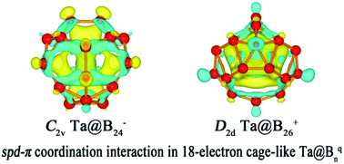 Graphical abstract: Cage-like Ta@Bqn complexes (n = 23–28, q = −1–+ 3) in 18-electron configurations with the highest coordination number of twenty-eight