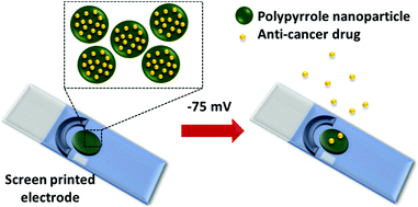 Graphical abstract: Ultra-low voltage triggered release of an anti-cancer drug from polypyrrole nanoparticles