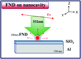 Graphical abstract: Manipulating the distribution of electric field intensity to effectively enhance the spatial and spectral fluorescence intensity of fluorescent nanodiamonds