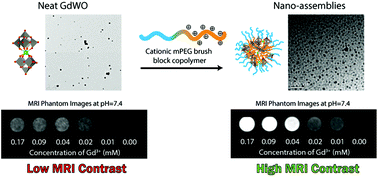 Graphical abstract: Nano-assemblies of cationic mPEG brush block copolymers with gadolinium polyoxotungstate [Gd(W5O18)2]9− form stable, high relaxivity MRI contrast agents