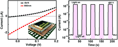 Graphical abstract: Self-assembled KCu7S4 nanowire monolayers for self-powered near-infrared photodetectors