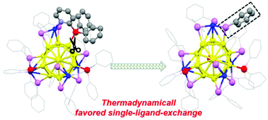 Graphical abstract: Single-ligand exchange on an Au–Cu bimetal nanocluster and mechanism