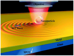 Graphical abstract: Optical transverse spin coupling through a plasmonic nanoparticle for particle-identification and field-mapping