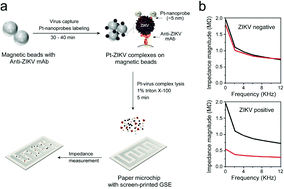 Graphical abstract: Nanoparticle-enhanced electrical detection of Zika virus on paper microchips