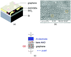 Graphical abstract: Lifetime and linewidth of individual quantum dots interfaced with graphene
