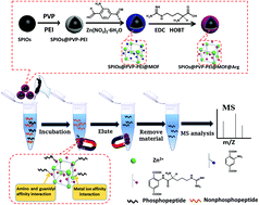 Graphical abstract: Multi-affinity sites of magnetic guanidyl-functionalized metal–organic framework nanospheres for efficient enrichment of global phosphopeptides